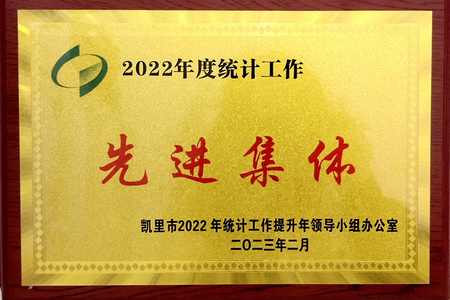 凱里市2022年度統(tǒng)計工作“先進集體”榮譽稱號-貴州生物制藥